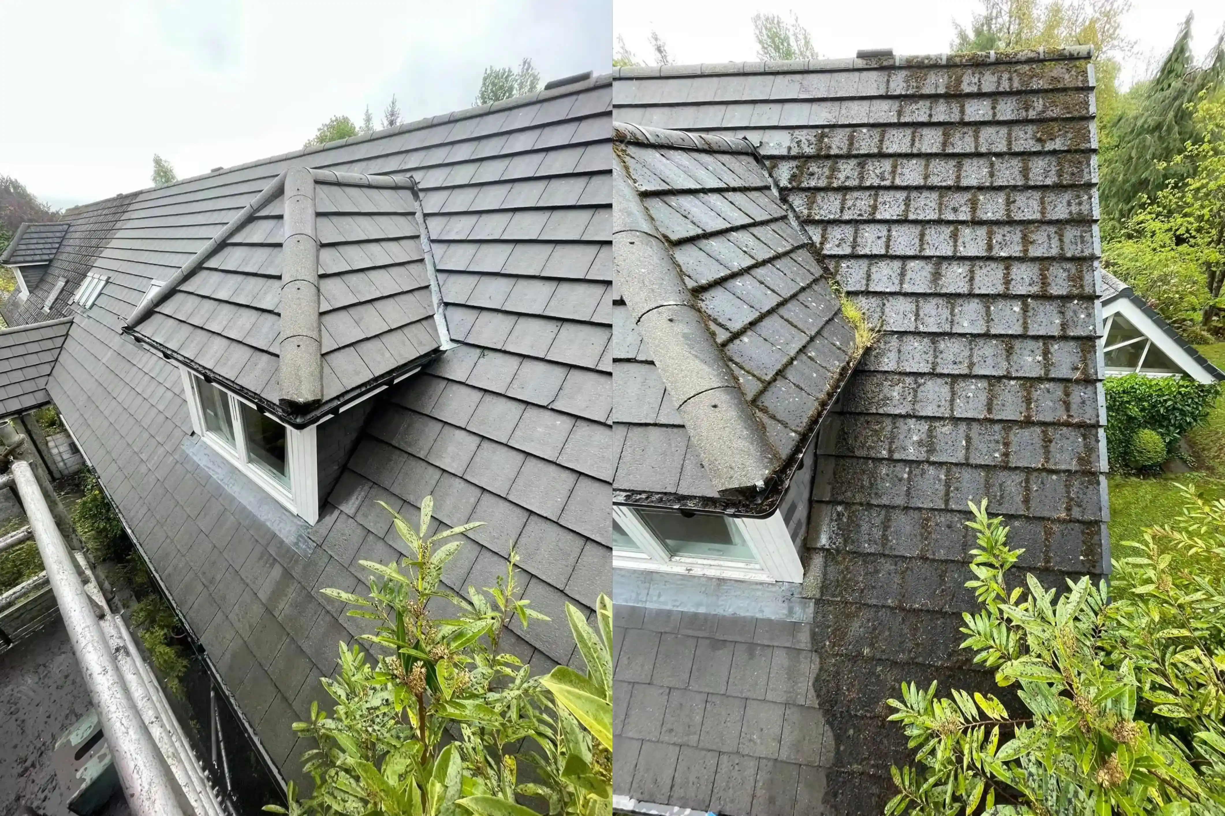 House washing Landfall Wilmington NC before and after